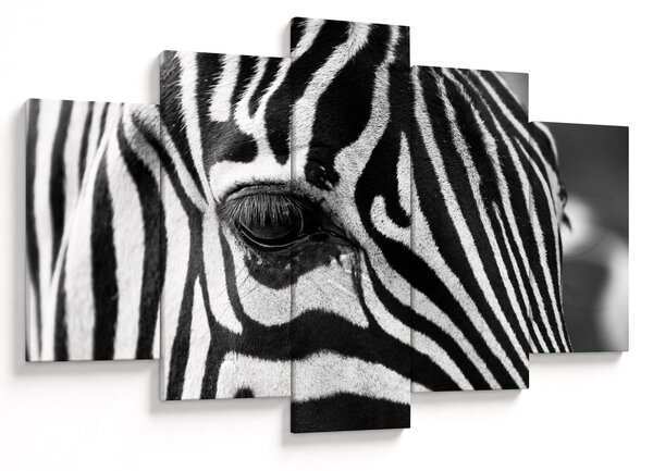 Slika zebre (150x105 cm)