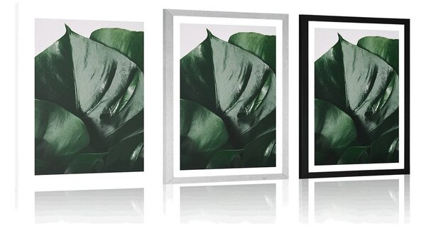 Plakat s paspartuom list monstere