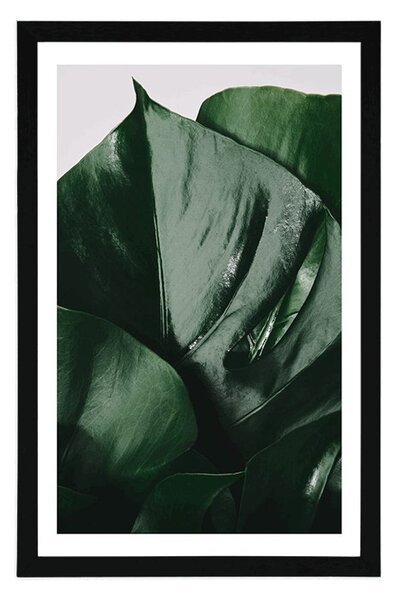 Plakat s paspartuom list monstere
