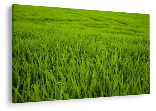 Slika trave (90x60 cm)