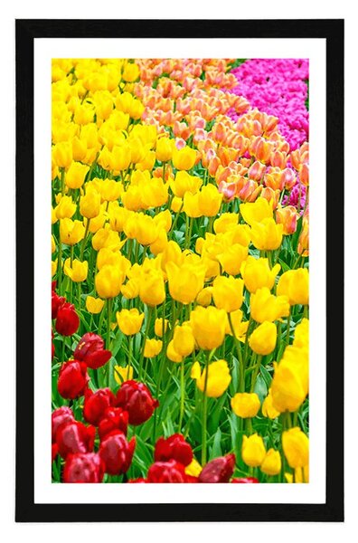 Plakat s paspartuom vrt pun tulipana