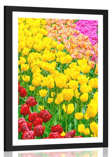 Plakat s paspartuom vrt pun tulipana
