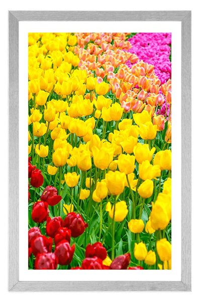 Plakat s paspartuom vrt pun tulipana
