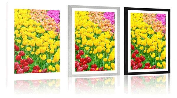 Plakat s paspartuom vrt pun tulipana