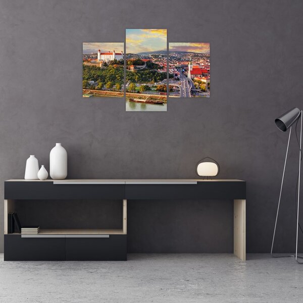Slika - Panorama Bratislave, Slovaška (90x60 cm)