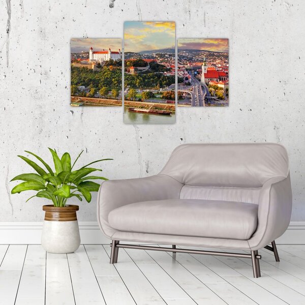Slika - Panorama Bratislave, Slovaška (90x60 cm)