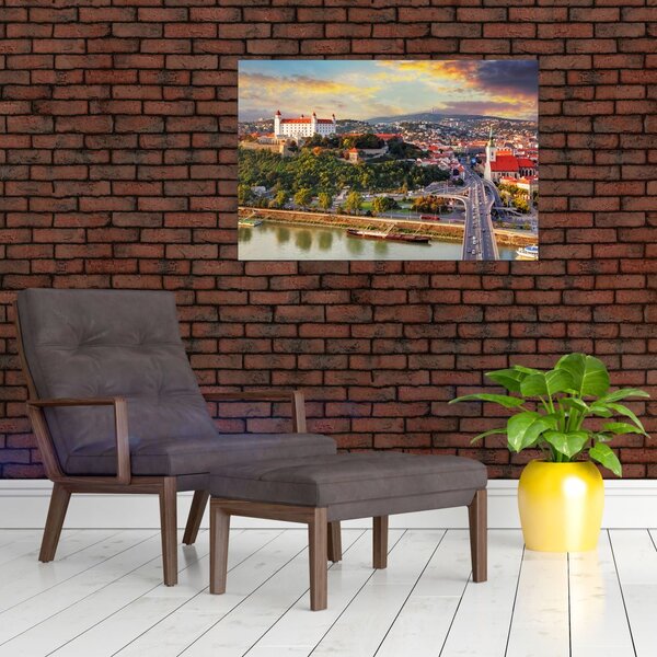 Slika - Panorama Bratislave, Slovaška (90x60 cm)
