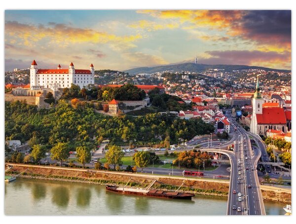 Slika - Panorama Bratislave, Slovaška (70x50 cm)