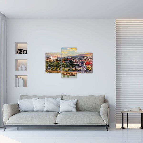Slika - Panorama Bratislave, Slovaška (90x60 cm)