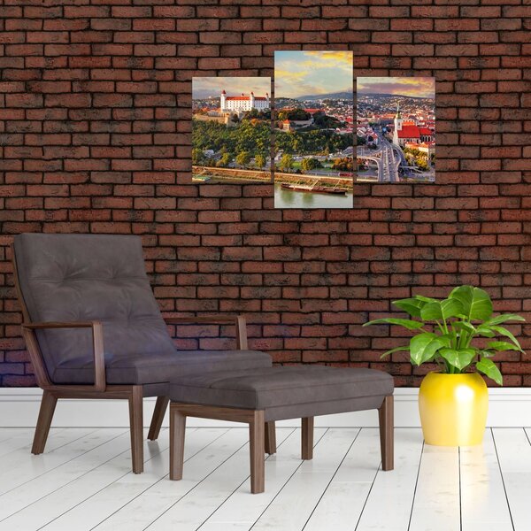 Slika - Panorama Bratislave, Slovaška (90x60 cm)