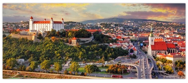 Slika - Panorama Bratislave, Slovaška (120x50 cm)