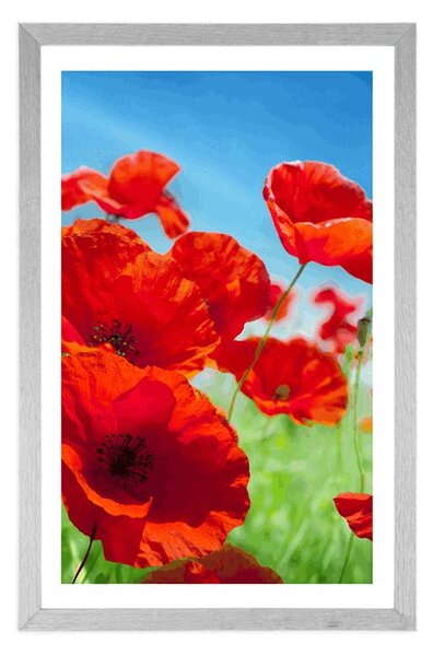 Plakat s paspartuom cvjetovi maka na livadi