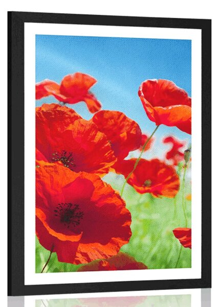 Plakat s paspartuom cvjetovi maka na livadi