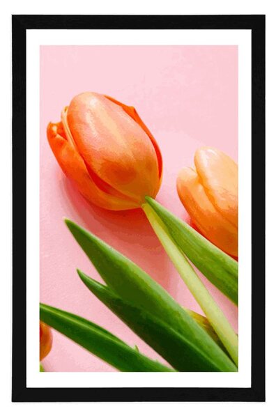 Plakat s paspartuom elegantni tulipan