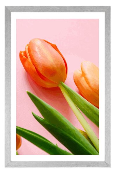 Plakat s paspartuom elegantni tulipan