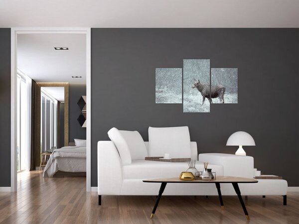 Slika - Los v zasneženem gozdu (90x60 cm)