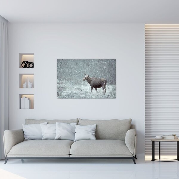Slika - Los v zasneženem gozdu (90x60 cm)
