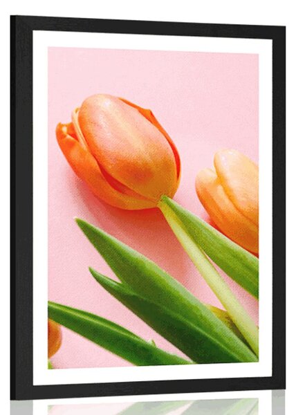 Plakat s paspartuom elegantni tulipan