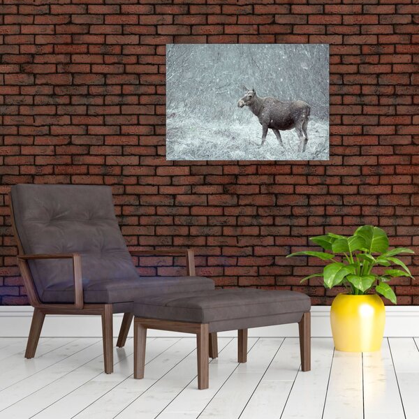 Slika - Los v zasneženem gozdu (70x50 cm)