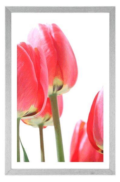Plakat s paspartuom crveni poljski tulipani