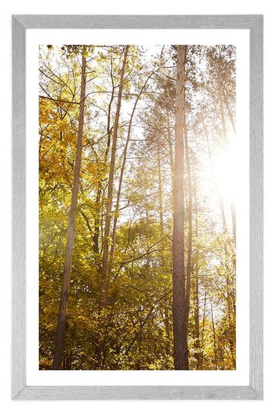 Plakat s paspartuom šuma u jesenjim bojama