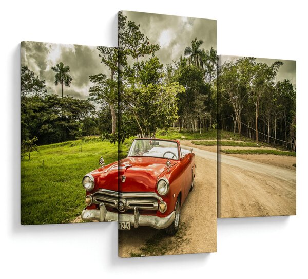 Slika - veteranski automobil u prirodi (90x60 cm)