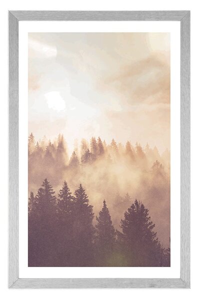 Plakat s paspartuom magla iznad šume
