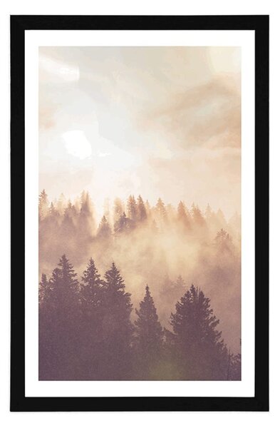Plakat s paspartuom magla iznad šume