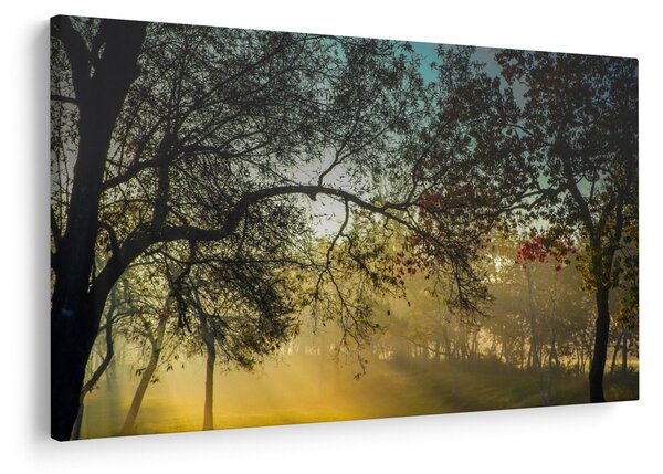 Slika izlaska sunca (90x60 cm)
