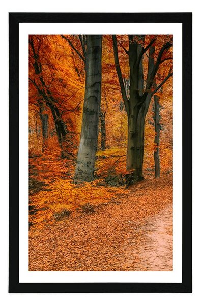 Plakat s paspartuom šuma u jesenje doba