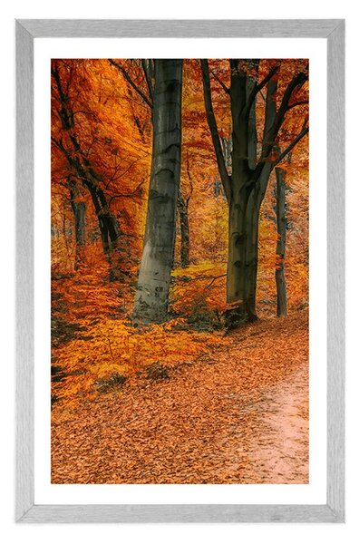 Plakat s paspartuom šuma u jesenje doba