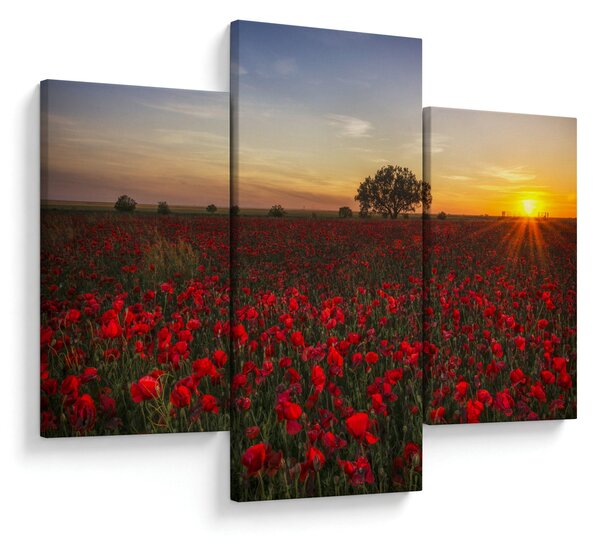Slika livade s makovima (90x60 cm)