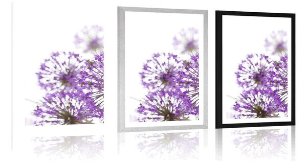 Plakat s paspartuom ljubičasto cvijeće crvenog luka u cvatu