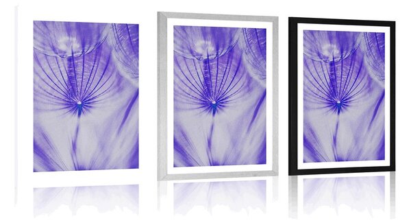 Plakat s paspartuom maslačak u ljubičastom dizajnu