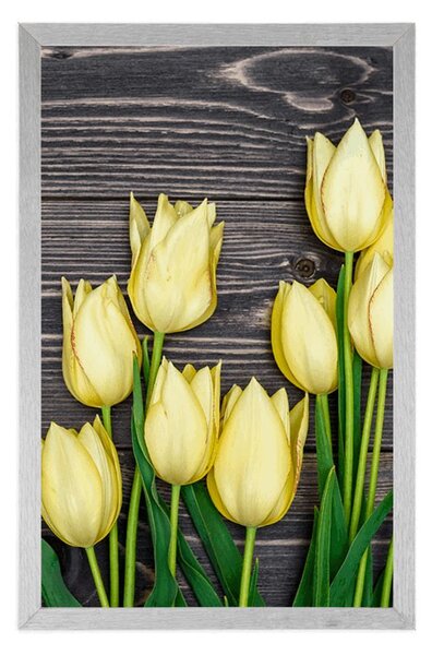 Plakat žuti tulipani na drvenoj podlozi