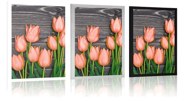 Plakat narančasti tulipani na drvenoj podlozi