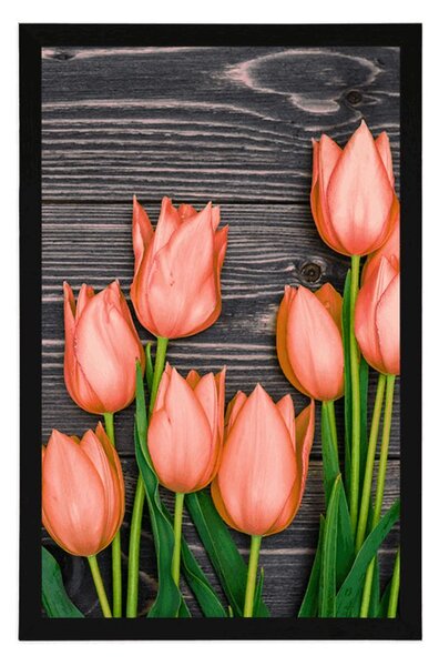 Plakat narančasti tulipani na drvenoj podlozi