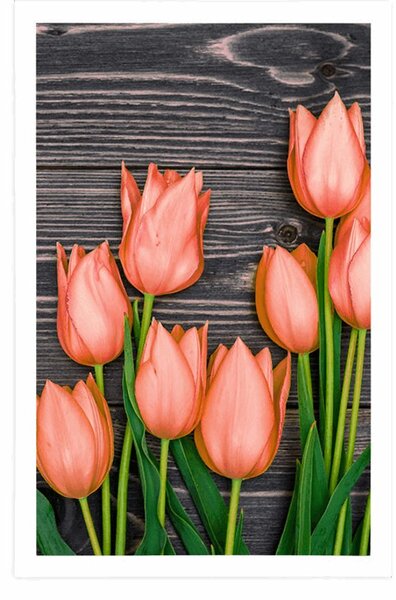 Plakat narančasti tulipani na drvenoj podlozi