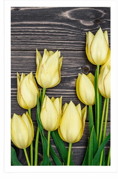 Plakat žuti tulipani na drvenoj podlozi