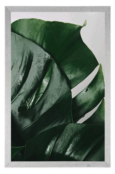Plakat list monstere