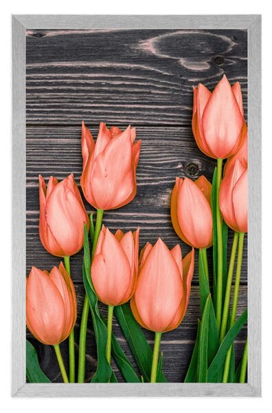 Plakat narančasti tulipani na drvenoj podlozi