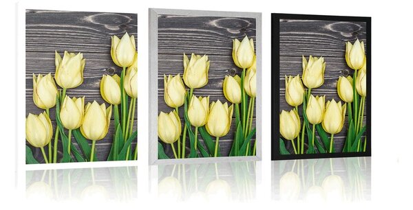 Plakat žuti tulipani na drvenoj podlozi