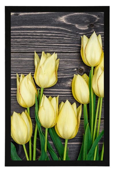 Plakat žuti tulipani na drvenoj podlozi
