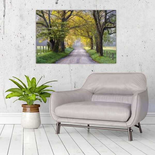 Slika - Smoky Mountains, Gatlinburg, ZDA (90x60 cm)