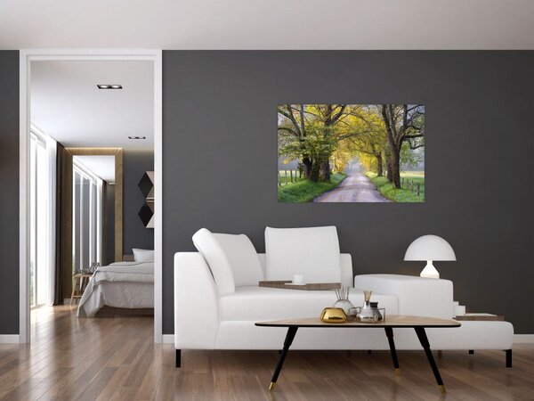 Slika - Smoky Mountains, Gatlinburg, ZDA (90x60 cm)