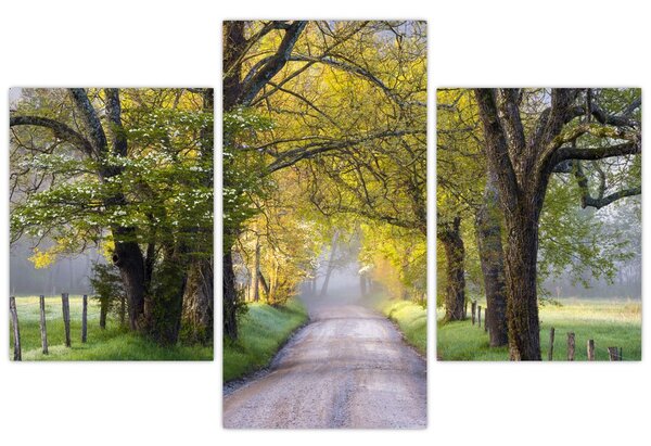 Slika - Smoky Mountains, Gatlinburg, ZDA (90x60 cm)