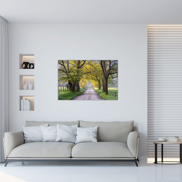 Slika - Smoky Mountains, Gatlinburg, ZDA (90x60 cm)