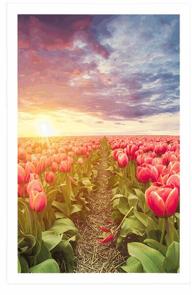 Plakat izlazak sunca iznad livade s tulipanima