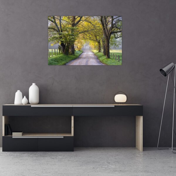 Slika - Smoky Mountains, Gatlinburg, ZDA (90x60 cm)