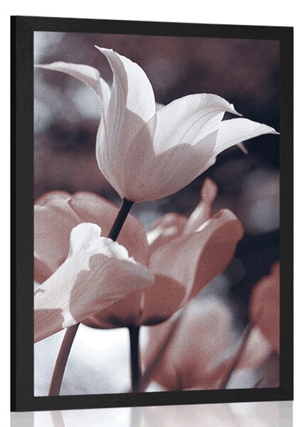 Plakat proljetni tulipani u parku